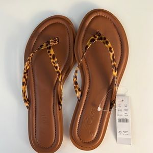 Jcrew flip flops. Never worn